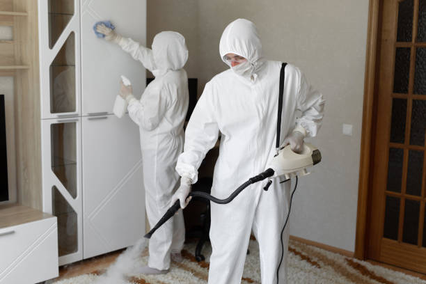 24/7 Emergency Odor Removal experts in Dayton, VA